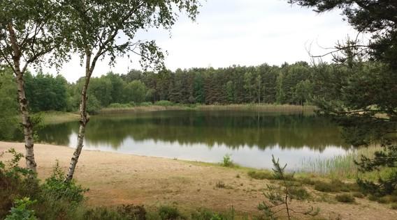 Campingplatz Seerosenteich
