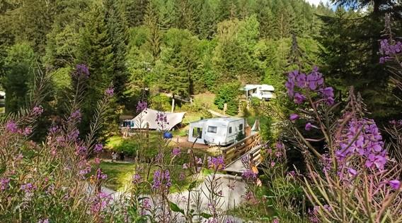 Natur-Camping Langenwald