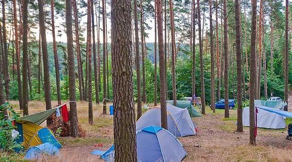 Naturcampingplatz am Roofensee e. V.