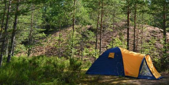 Camping Dammmühlenteich