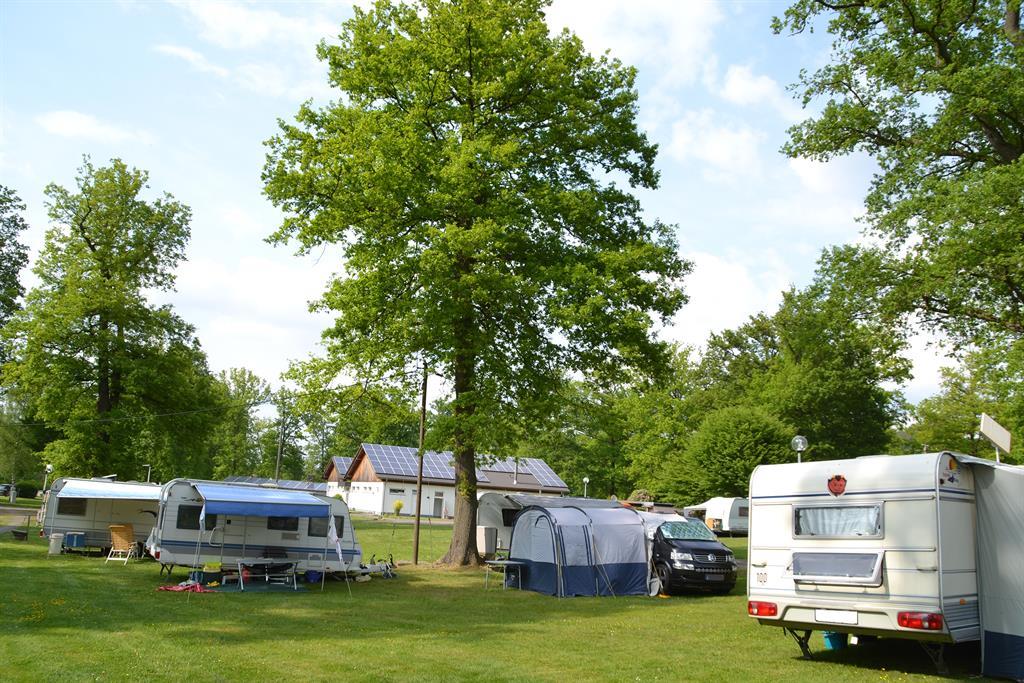 Camping im Eichenwald