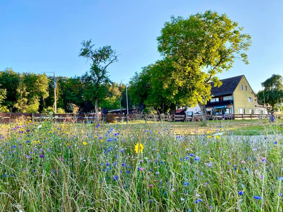 Camping Zur Burgschänke