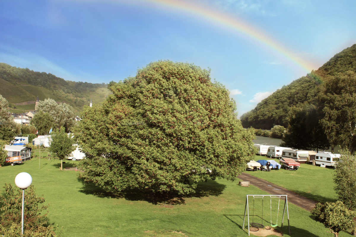 Campinginsel Sonnenwerth