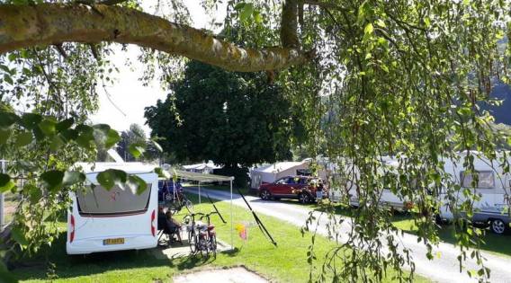 Campingplatz Mainufer