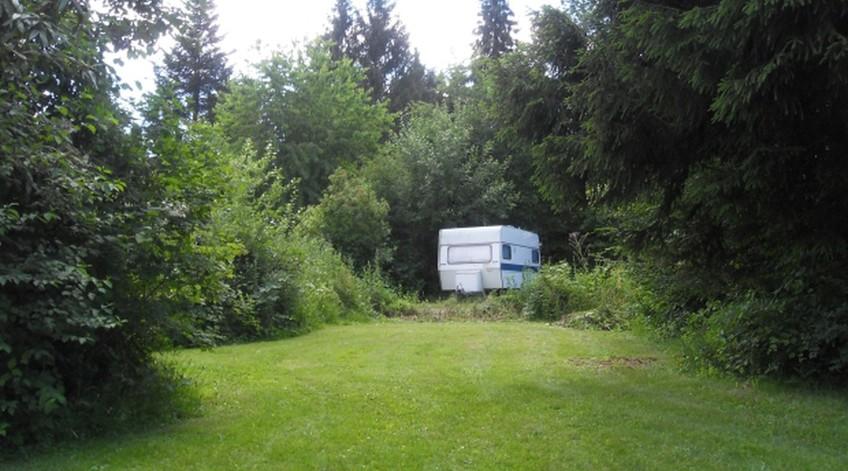 Holiday Camp