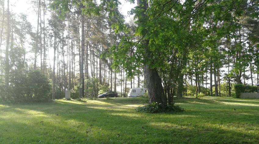 Waldcamping Zethner See